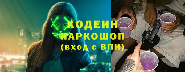 СК Зерноград