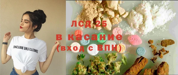 СК Зерноград