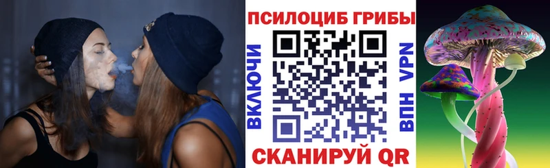 MEGA вход  цены наркотик  Каменск-Шахтинский  Галлюциногенные грибы мицелий 