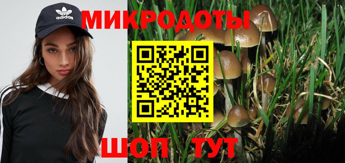 Галлюциногенные грибы MAGIC MUSHROOMS  Вход с VPN  Галлюциногенные грибы Cubensis  Каменск-Шахтинский 