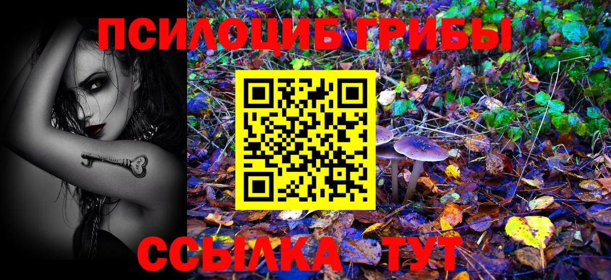 Канабис  Гашиш  Вход с VPN  Каменск-Шахтинский  Меф МЯУ МЯУ   ГАШ  Меф МЯУ МЯУ  Кокаин 